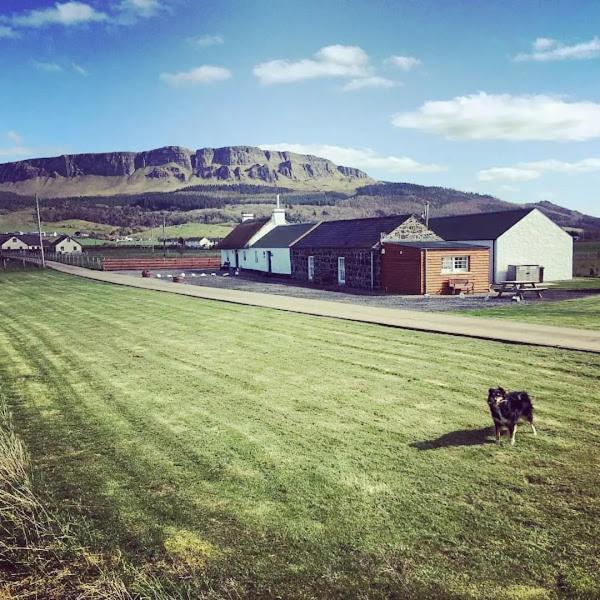 Ballymultimber Cottages - Mountain Views Near Beach Limavady Eksteriør billede